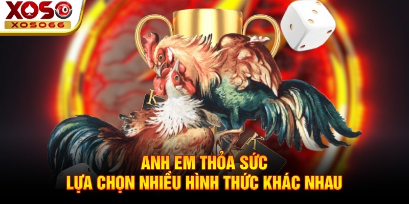 Anh em thỏa sức lựa chọn nhiều hình thức khác nhau Anh em thỏa sức lựa chọn nhiều hình thức khác nhau