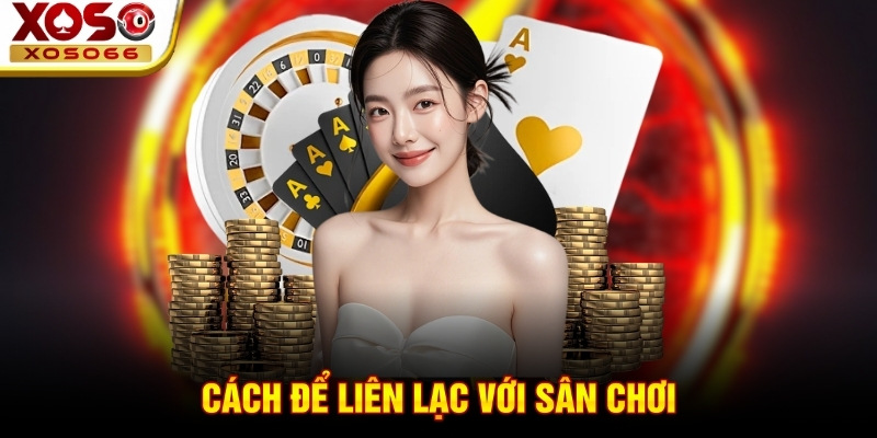 Cách để liên lạc với sân chơi Cách để liên lạc với sân chơi