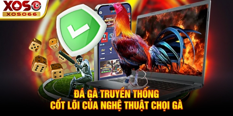 Đá gà truyền thống - Cốt lõi của nghệ thuật chọi gà Đá gà truyền thống - Cốt lõi của nghệ thuật chọi gà