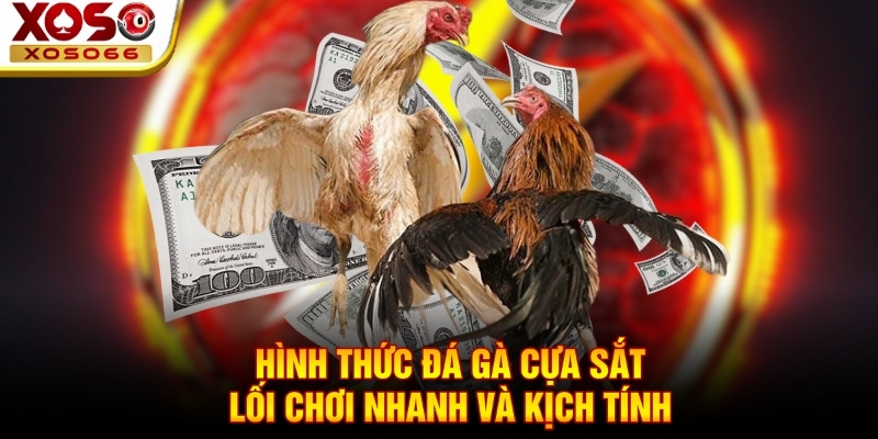 Hình thức đá gà cựa sắt - Lối chơi nhanh và kịch tính Hình thức đá gà cựa sắt - Lối chơi nhanh và kịch tính