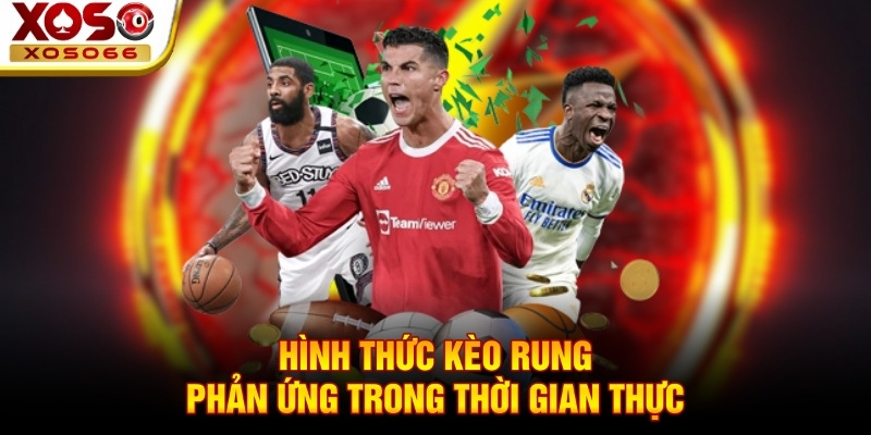 Hình thức kèo rung - Phản ứng trong thời gian thực Hình thức kèo rung - Phản ứng trong thời gian thực