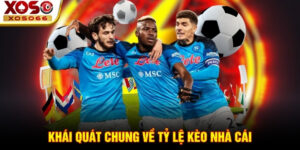 Khái quát chung về tỷ lệ kèo nhà cái