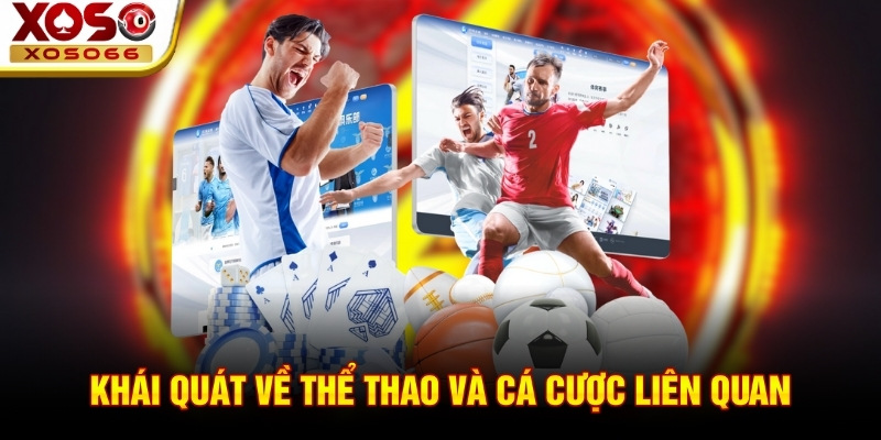 Khái quát về thể thao và cá cược liên quan Khái quát về thể thao và cá cược liên quan