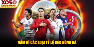 Nắm kĩ các loại tỷ lệ kèo bóng đá