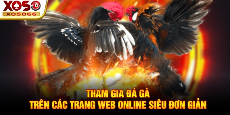 Tham gia đá gà trên các trang web online siêu đơn giản Tham gia đá gà trên các trang web online siêu đơn giản