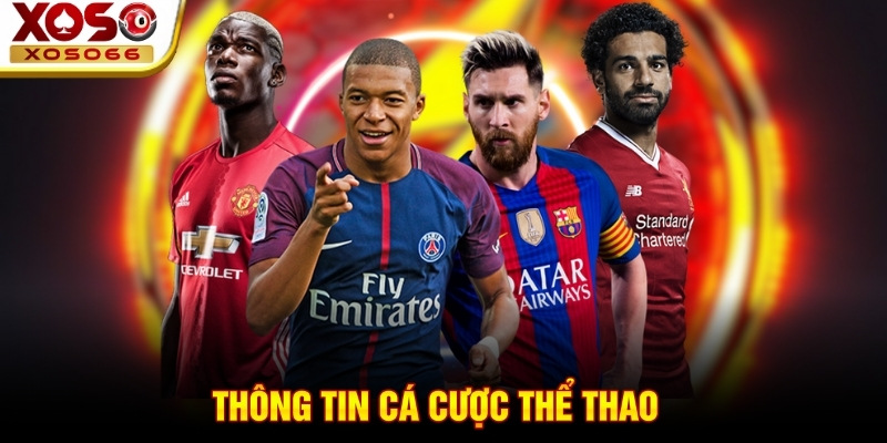 Thông tin cá cược thể thao Thông tin cá cược thể thao