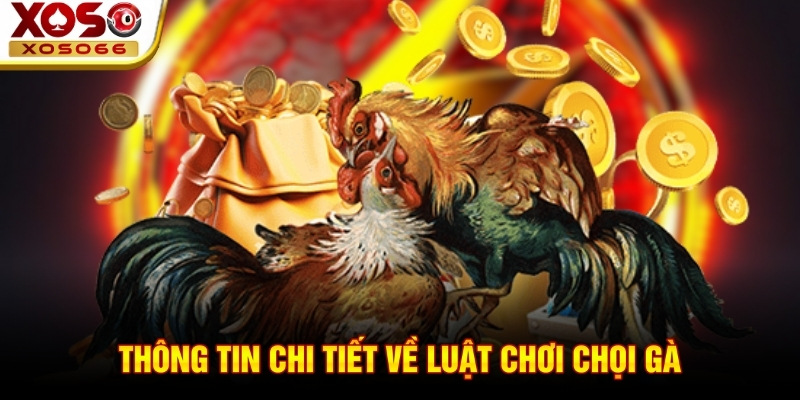 Thông tin chi tiết về luật chơi chọi gà Thông tin chi tiết về luật chơi chọi gà