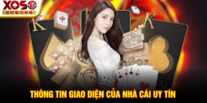 Thông tin giao diện của nhà cái uy tín