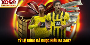 ty le bong da duoc hieu ra sao