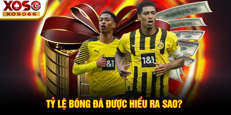 ty le bong da duoc hieu ra sao