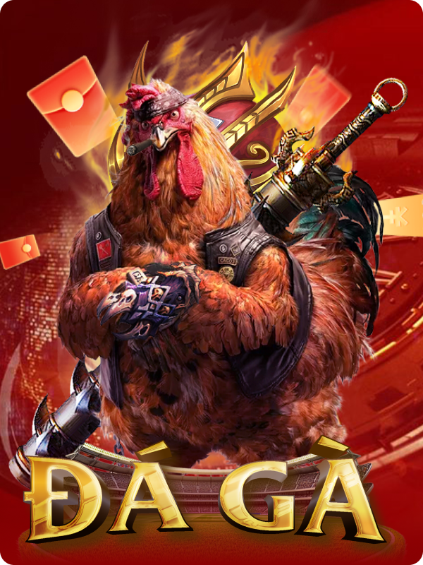 Đá Gà – Một môn giải trí vừa vui vừa kịch tính.