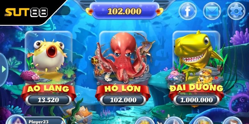 chon phong san ca phu hop chon phong san ca phu hop